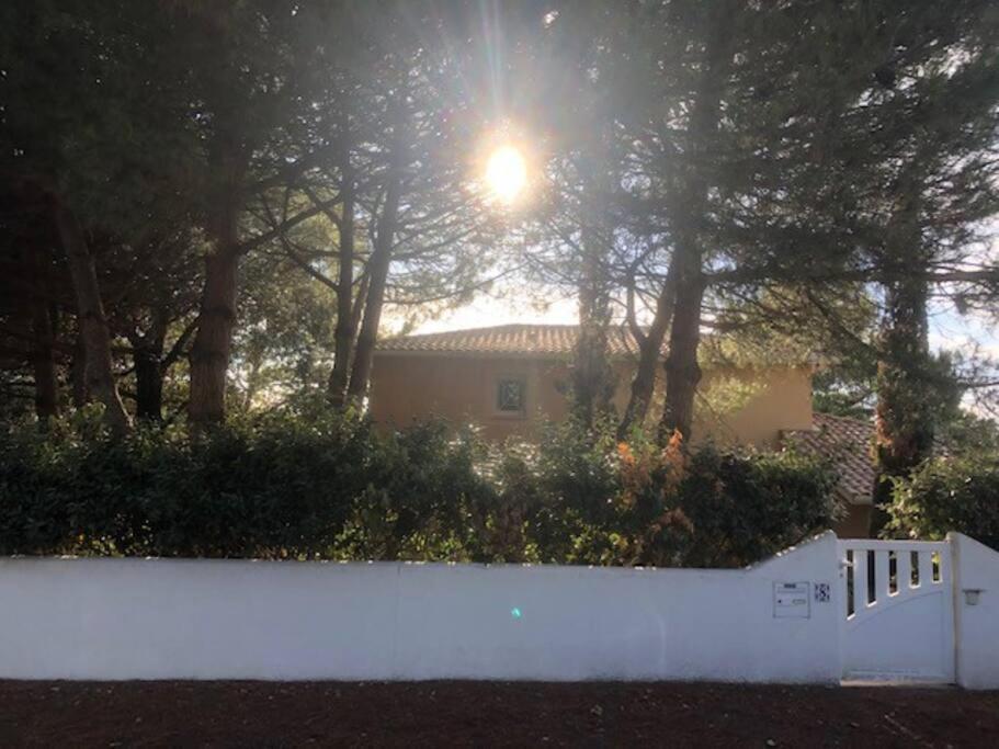 Villa Arethuse - Pyla Sur Mer Exteriör bild